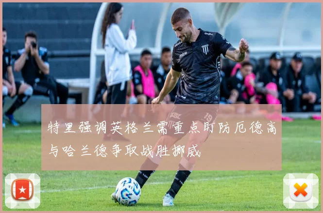 特里强调英格兰需重点盯防厄德高与哈兰德争取战胜挪威